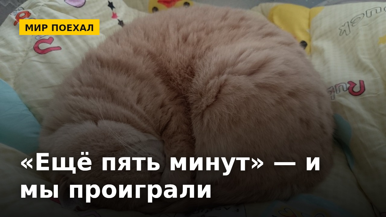 Кнопка «ещё пять минут» — самое честное поражение, которое мы терпим каждое утро