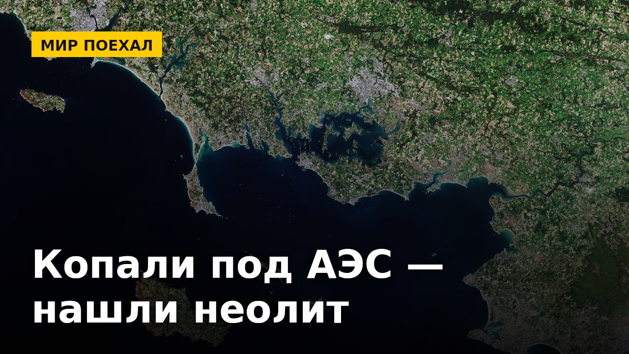 Копали под атомную станцию — выкопали неолит. Земля умеет напоминать, кто тут ненадолго
