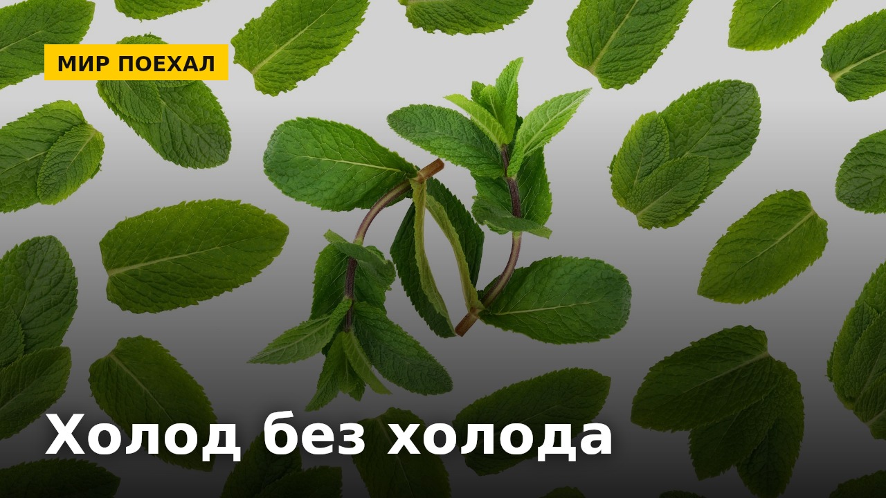 Мята холодит, перец жжёт, а градусник молчит